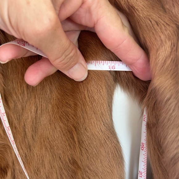 Max Studio Fur Coat with Pockets Genuine Goat Fur Size XS - Picture 8 of 9